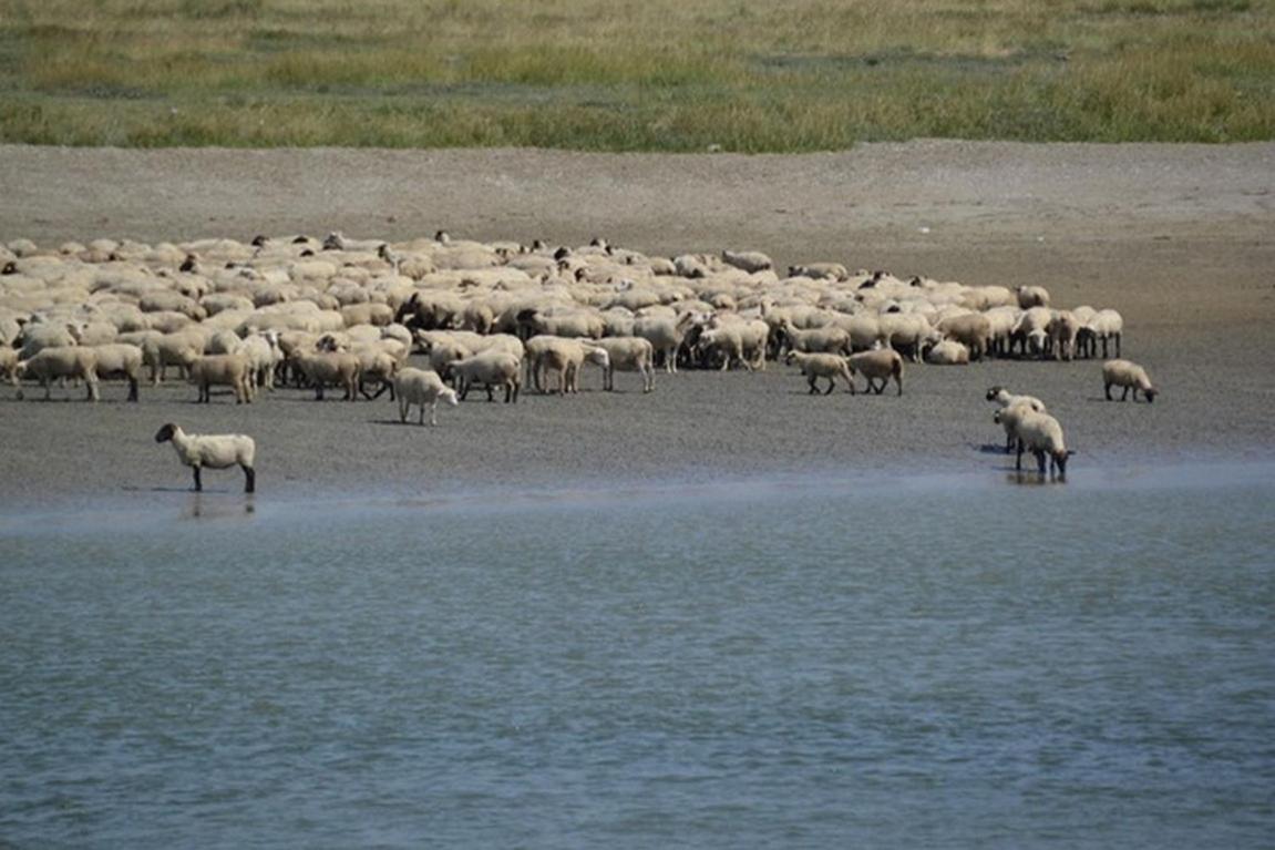 Le Bois Flotte Appartement Le Crotoy Buitenkant foto